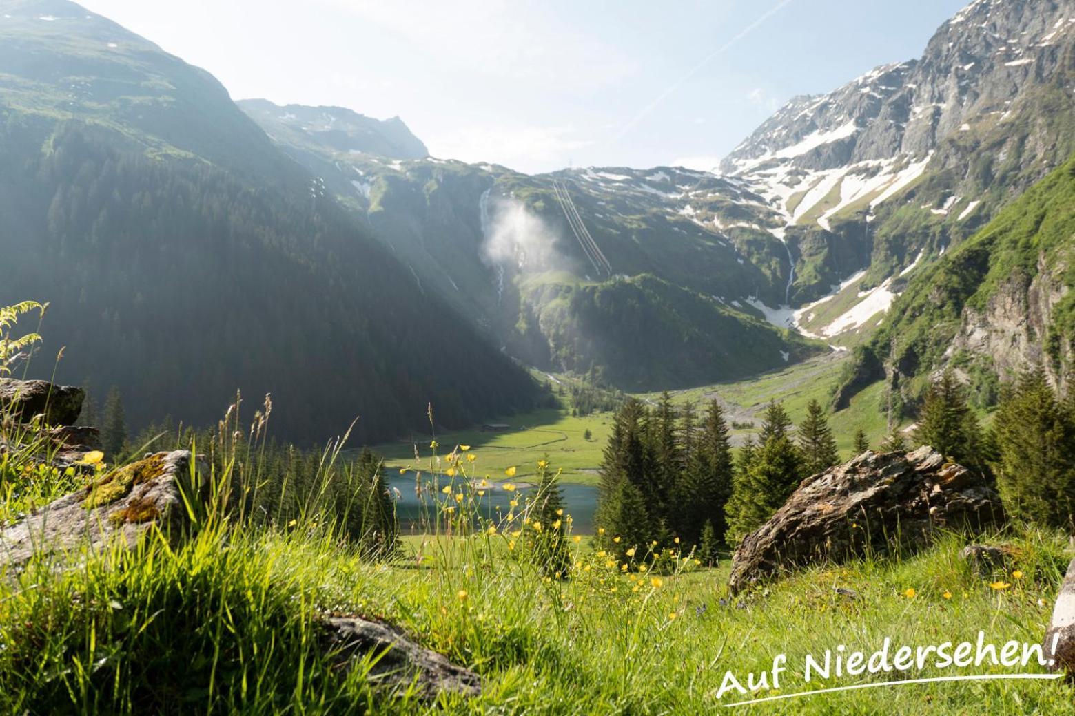 Ferienwohnung Auf Niedersehen - 8 Personen - Kitzbuehler Alpen - Hoehe Tauern Np Hollersbach im Pinzgau Exterior foto